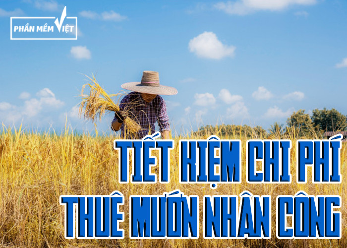 Tiết kiệm chi phí thuê mướn nhân công khi quản lý phần mềm